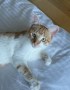 Harvey (4)